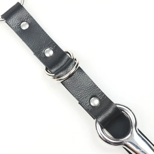 and EverydayUse Anal Kinky 5853 Hook with Collar Leash 0706